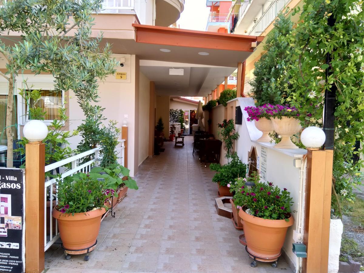 Hotel Villa Pigasos Paralía Exteriér fotografie